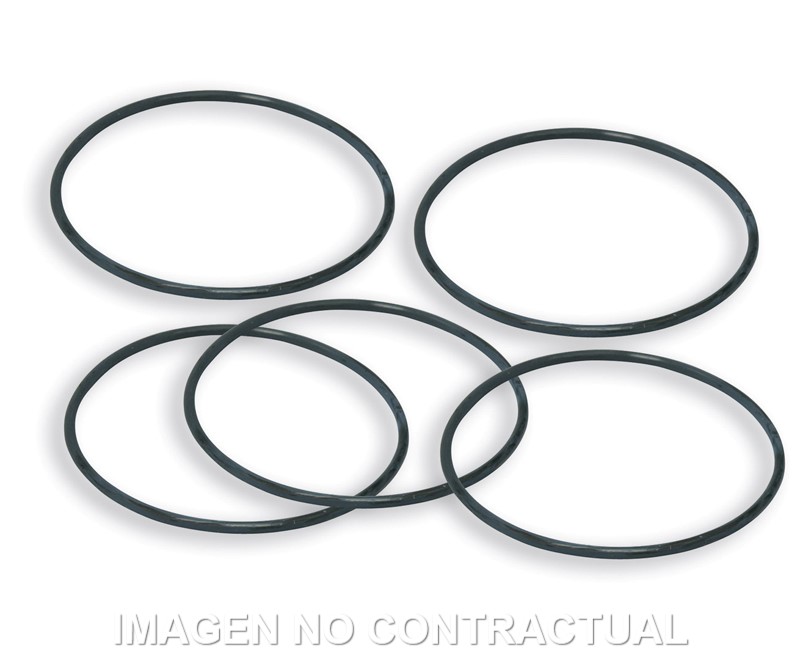 Correas 5 Recambio Bomba Agua