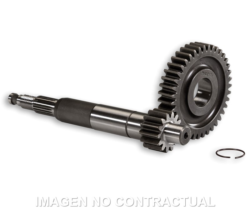 Desarrollo Primario Largo Gilera Runner