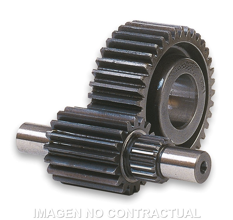 Desarrollo Secundario 38/16 Honda Foresight