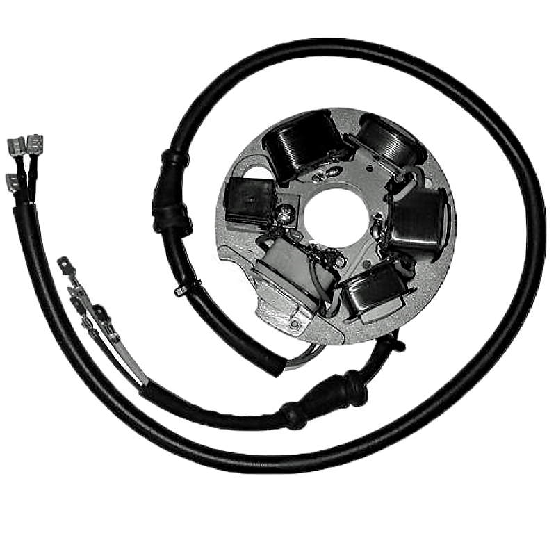 Stator 6 Polos