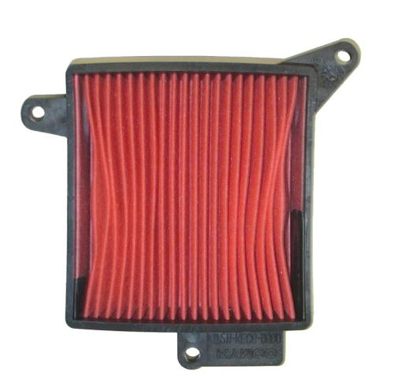 Filtro aire SGR Daelim 125 S2