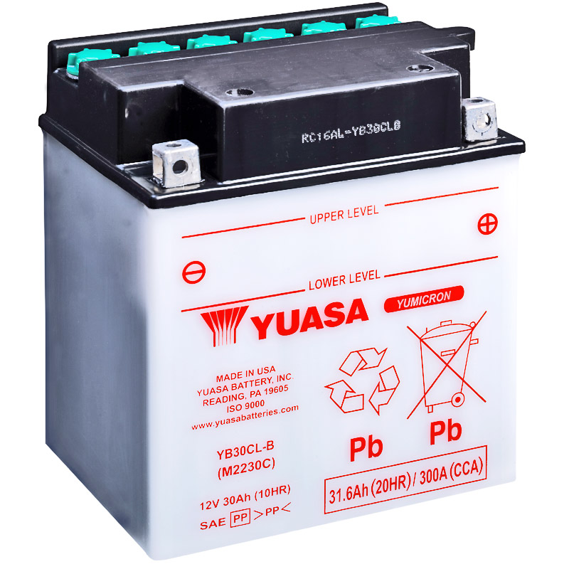 Batería Yuasa YB30CL-B