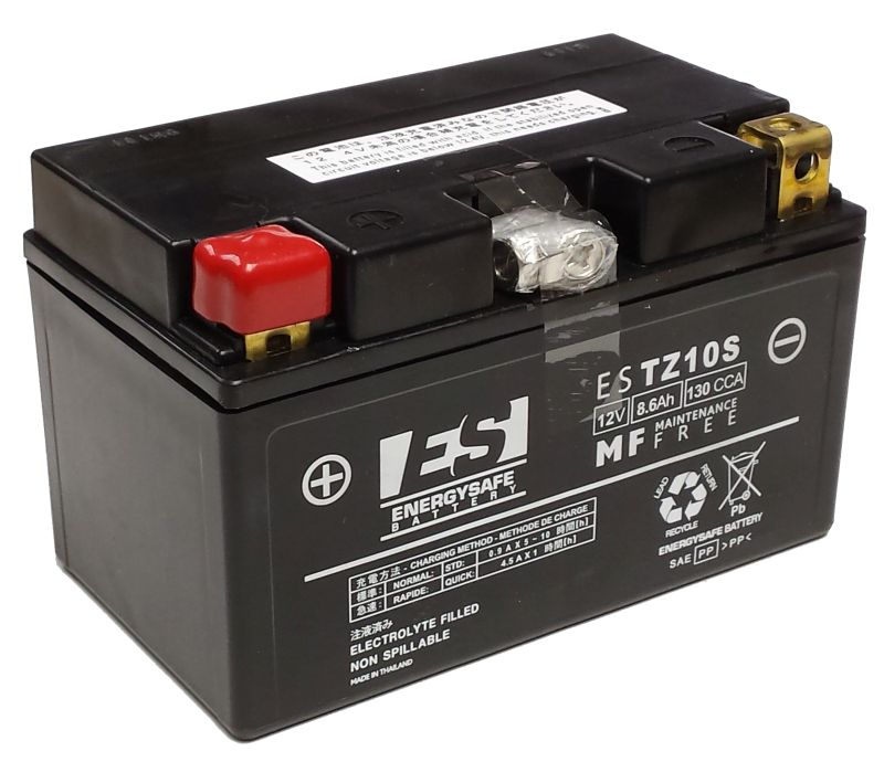 Batería Energy Safe ESTZ10-S