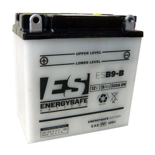 Batería Energy Safe ESB9-B 12V/9AH