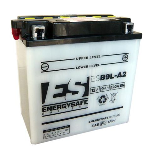 Batería Energy Safe ES9L-A2 12V/9AH