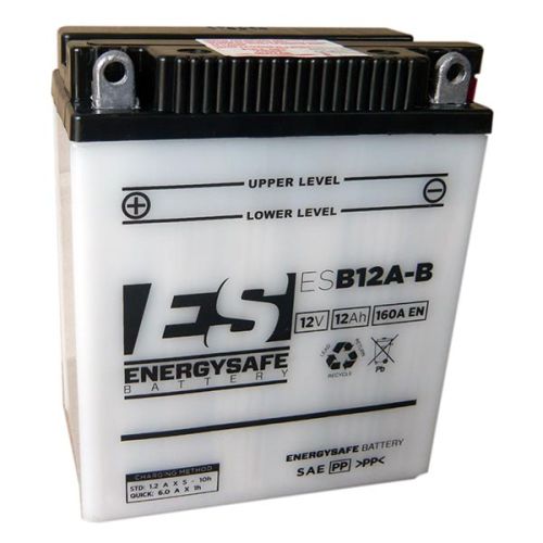 Batería Energy Safe ESB12A-B 12V/12AH