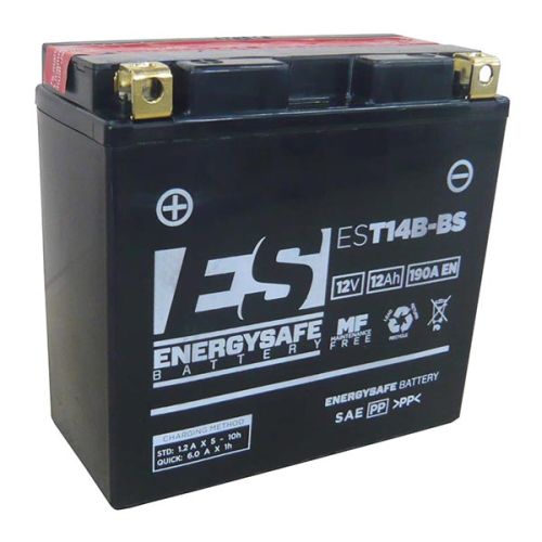 Batería Energy Safe EST14B-BS 12V/12AH