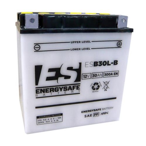Batería Energy Safe ESB30L-B 12V/30AH