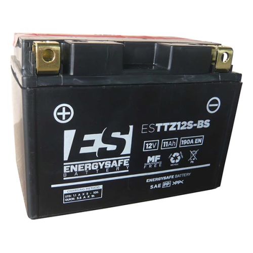 Batería Energy Safe ESTTZ12S-BS 12V/11AH