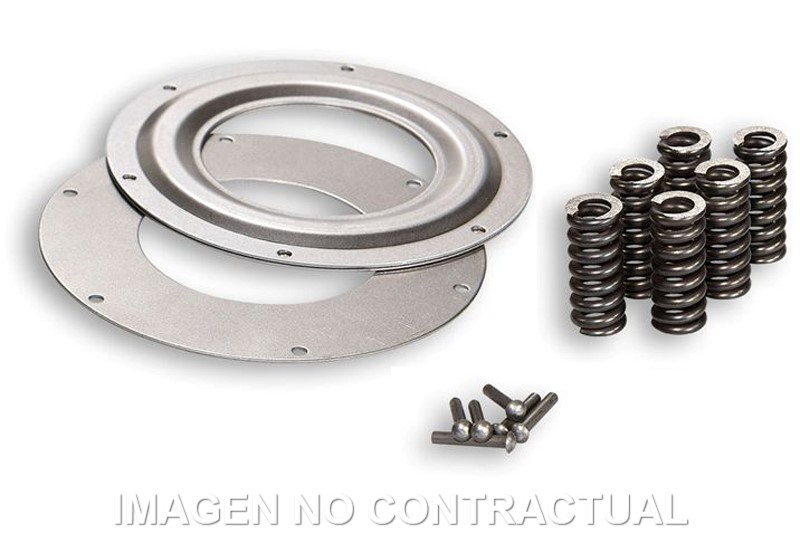 Muelles, Discos Y Remaches Desarrollo Malossi
