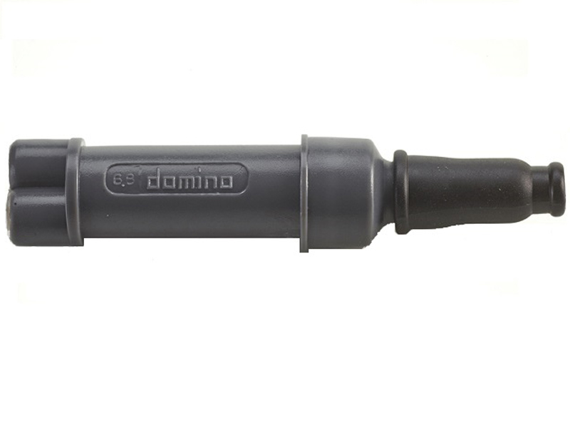 Divisor Domino