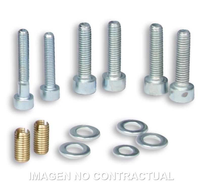 Tornilleria Malossi para sistema alimentación laminar