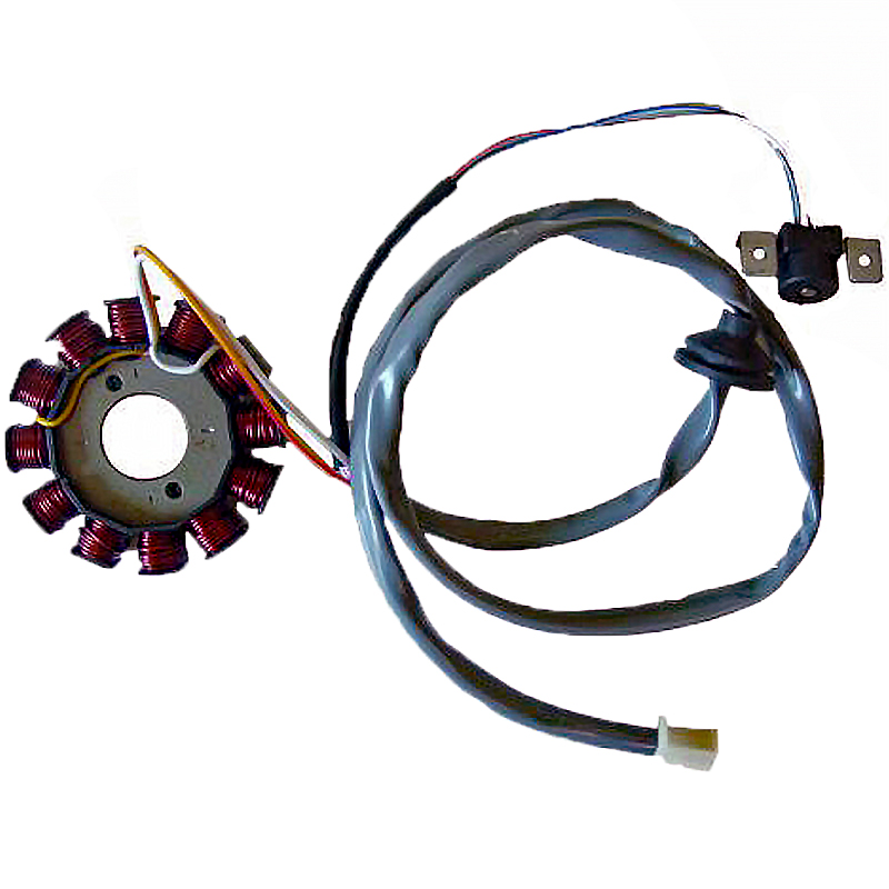 Stator 12 Polos (Motor Yamaha 50 2T Euro 2)
