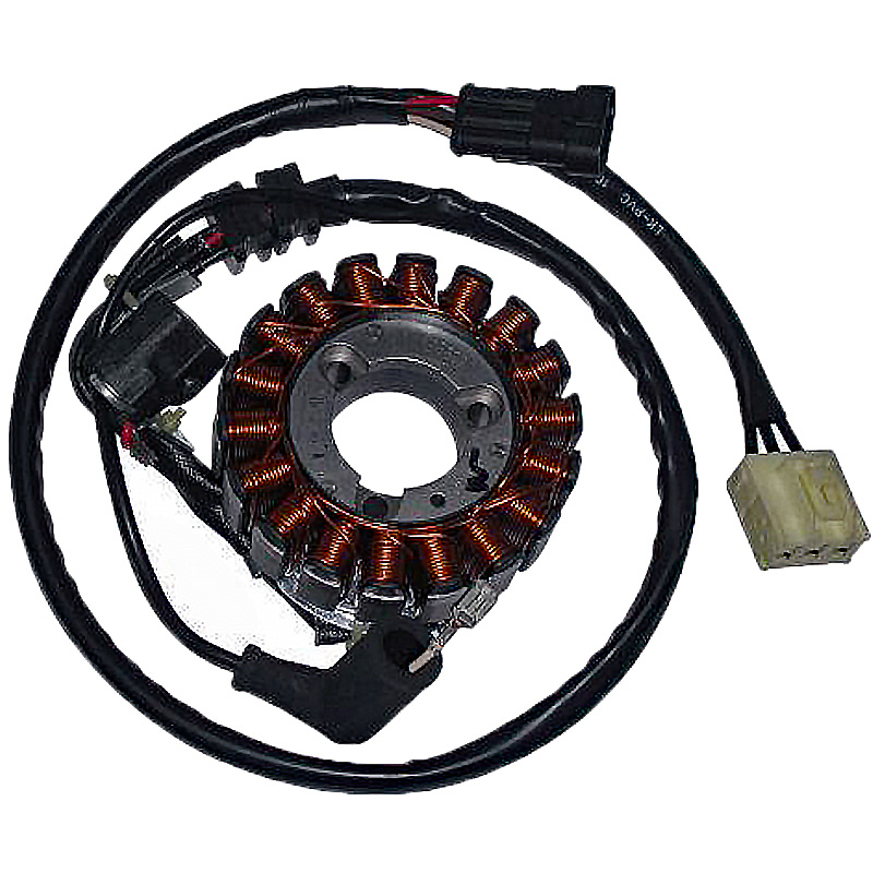 Stator Trifase 18 Polos 12V 350W (Motor Piaggio