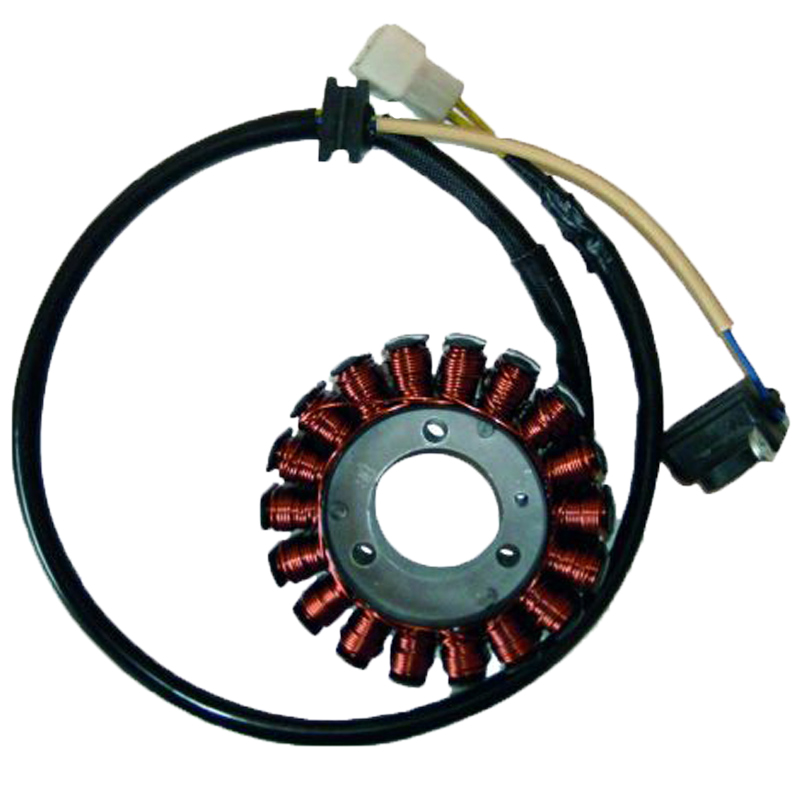 Stator 18 Polos 12V 220W