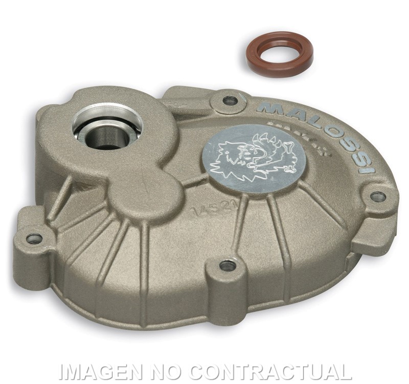 Cubrecarter Malossi MHR Piaggio 50