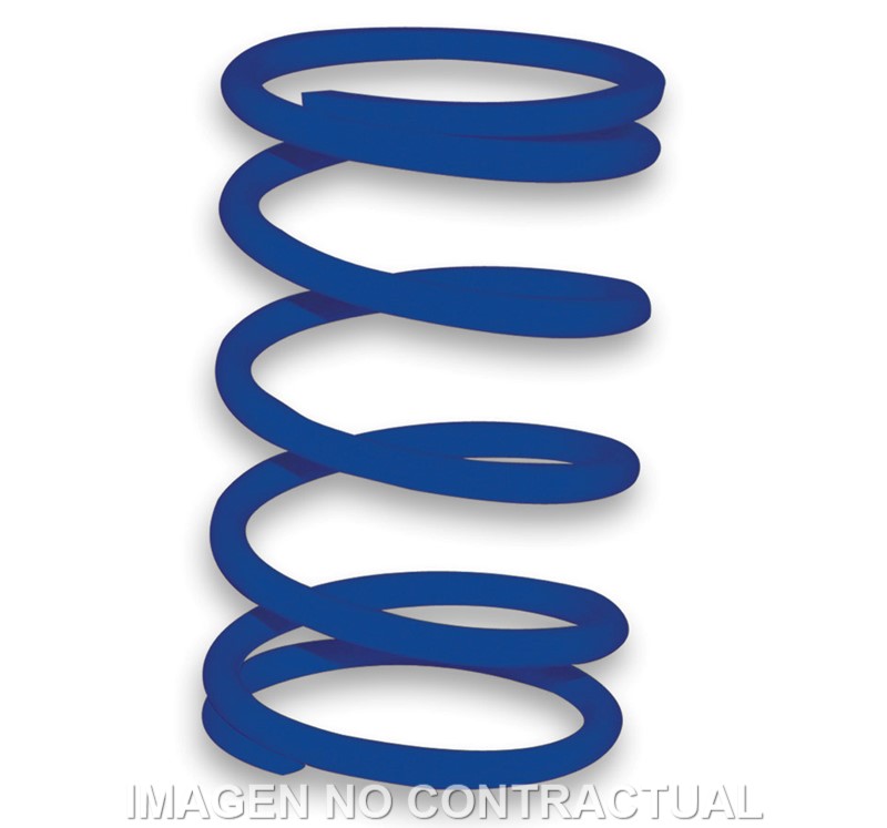 Muelle Polea Conducica Racing Piaggio Zip