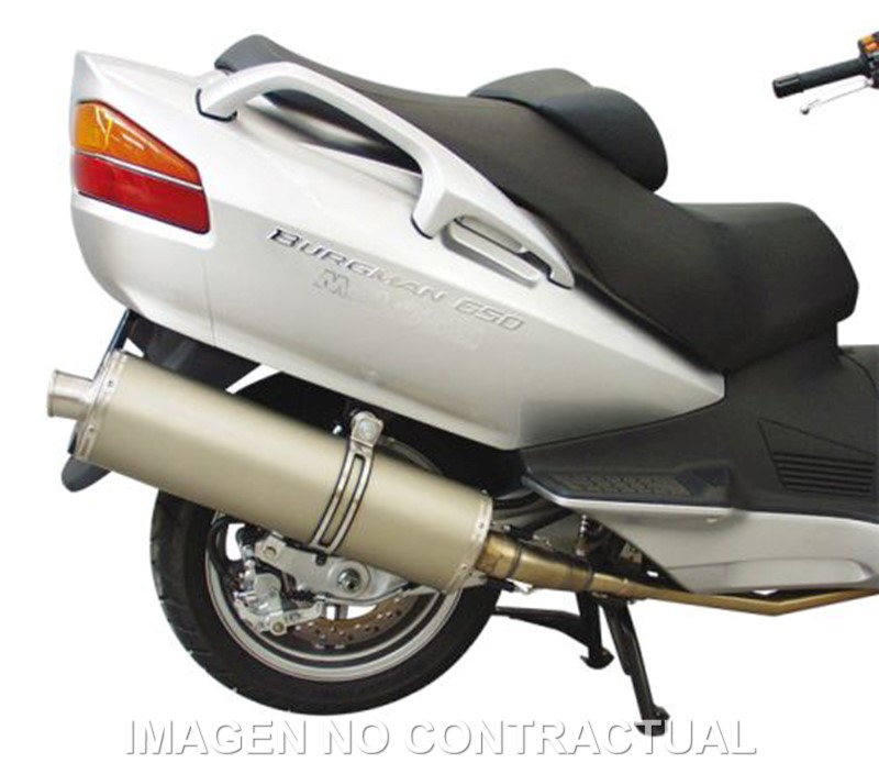 Tubarro Maxi Wild Lion Burgman An 650 4T