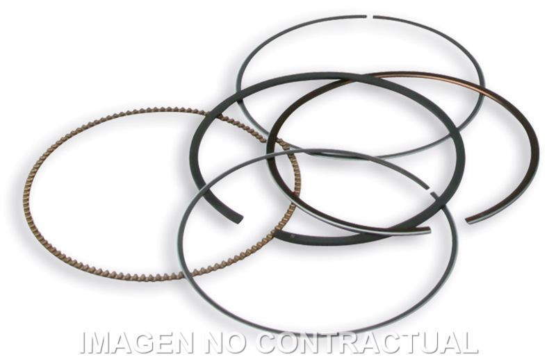 Segmentos D. 75,5 mm