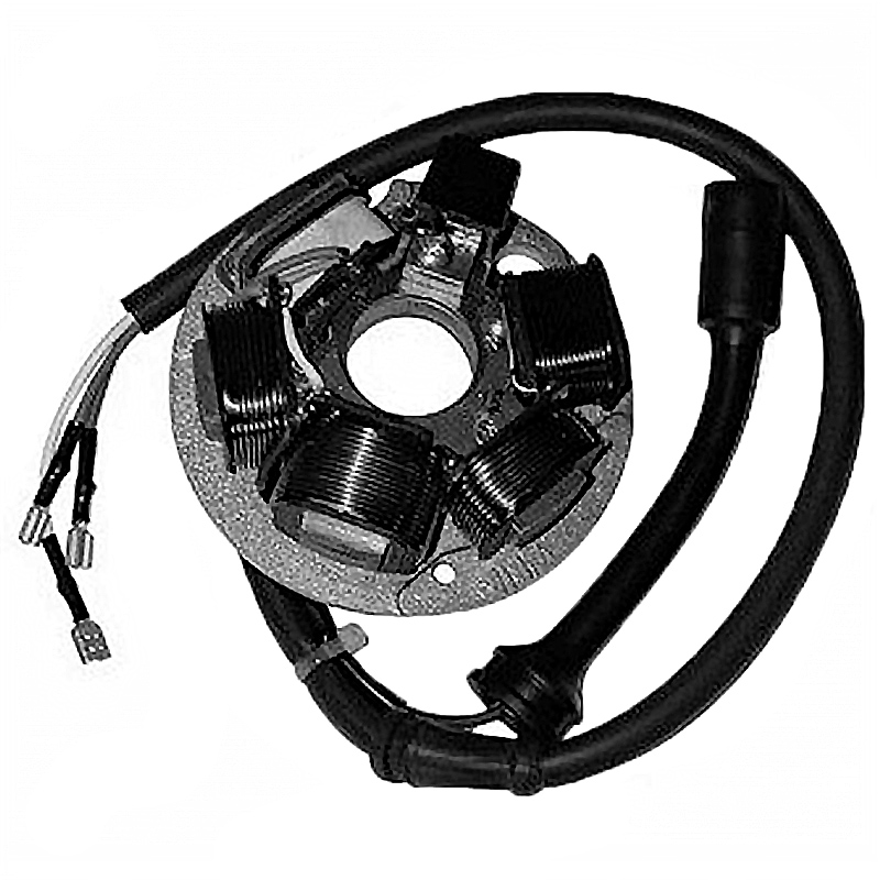 Stator 6 Polos