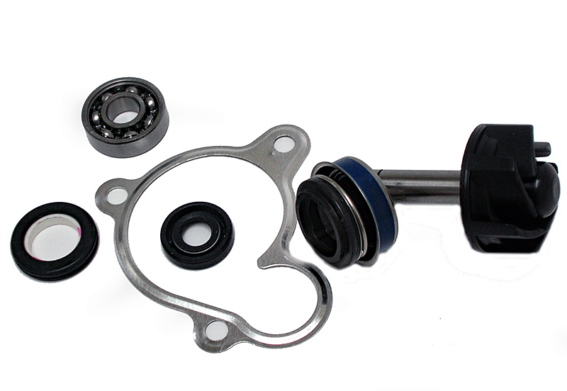 Kit Reparación Bomba De Agua Yamaha Majesty 250