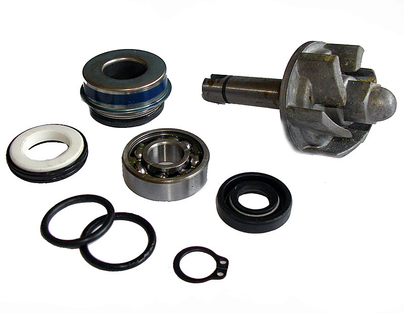 Kit Reparación Bomba De Agua Aprilia Leonardo 250