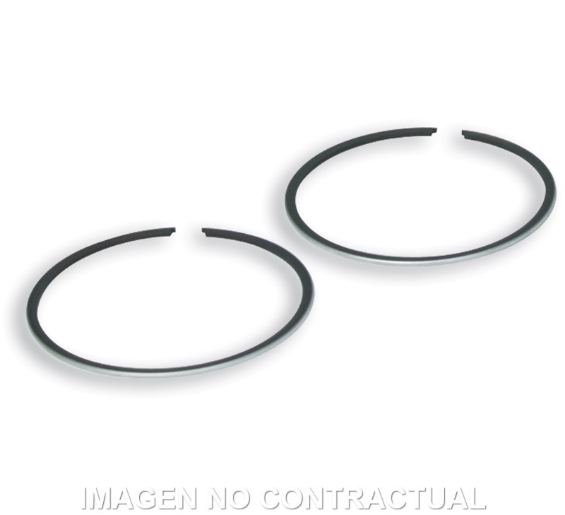Segmentos D.41 mm Address