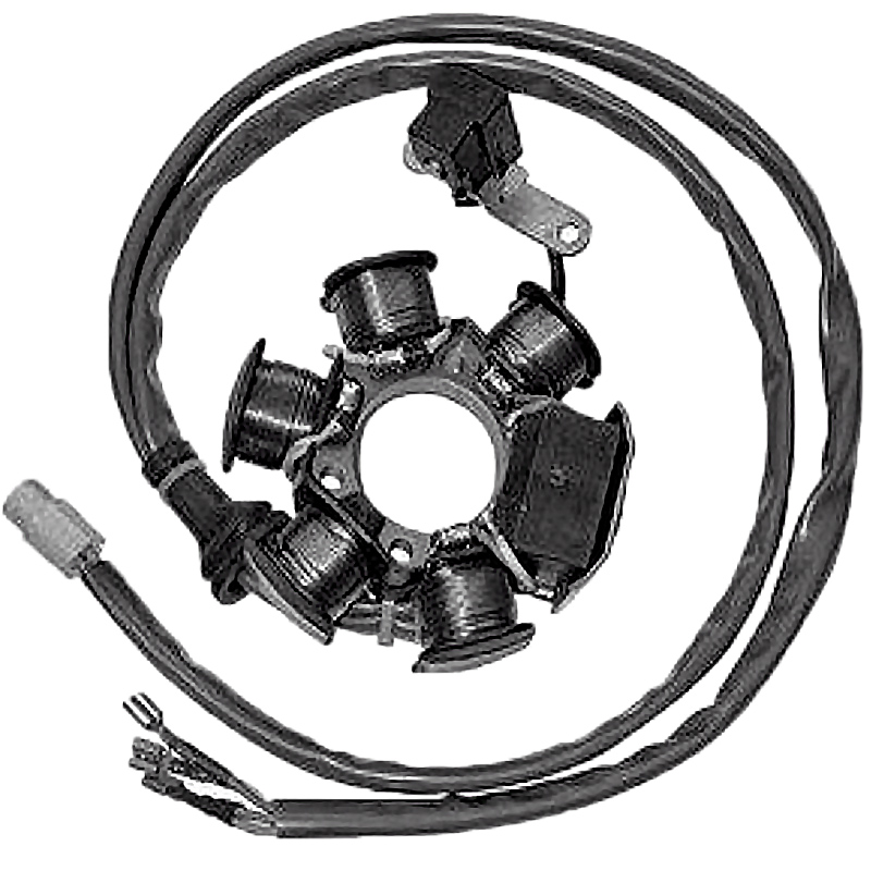 Stator 6 Polos 12V 90W (Motor Piaggio 50 2T)